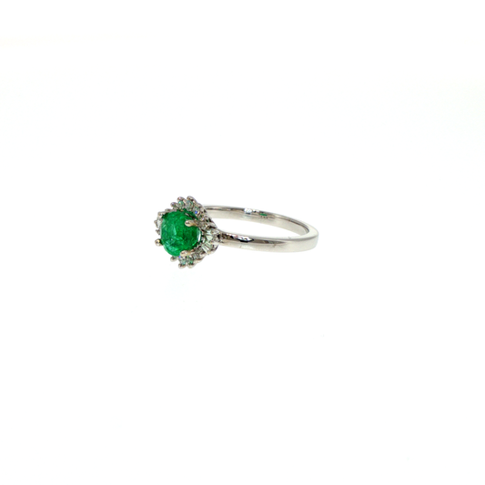 The Emerald Wish