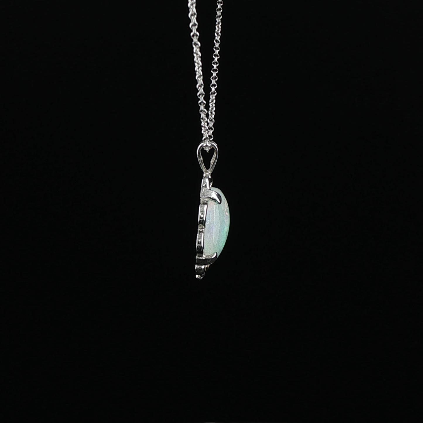 Scalloped Iridescent