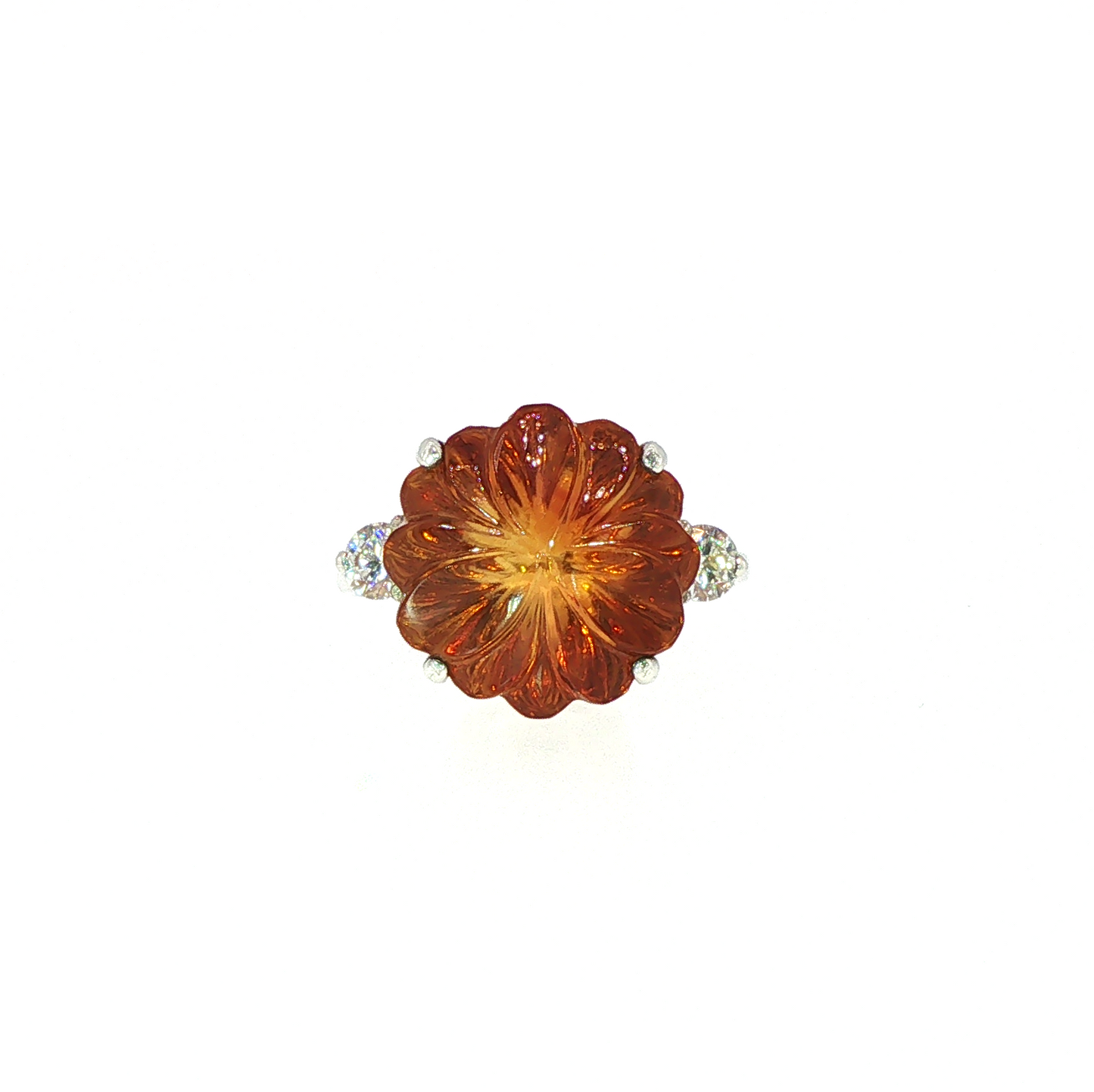 The Madeira Bloom