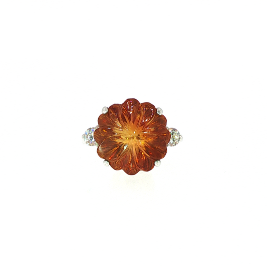 The Madeira Bloom