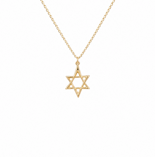 The Magen David- 14K
