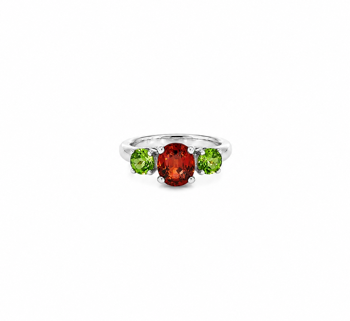 Coleus Rainbow