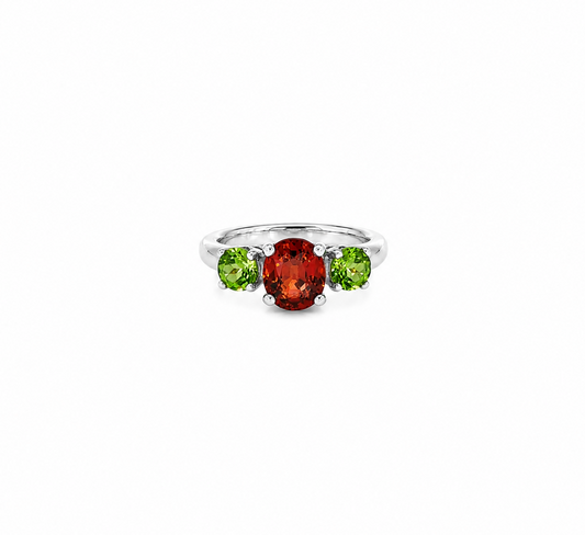 Coleus Rainbow