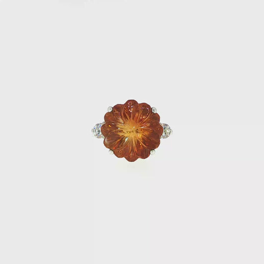 The Madeira Bloom